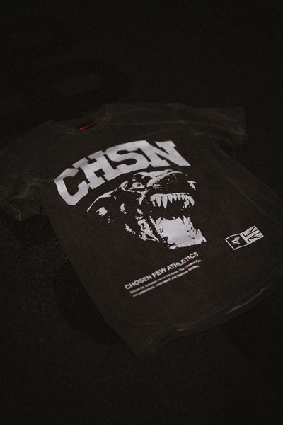 Fearless Tee - Vintage Black & Metallic Silver
