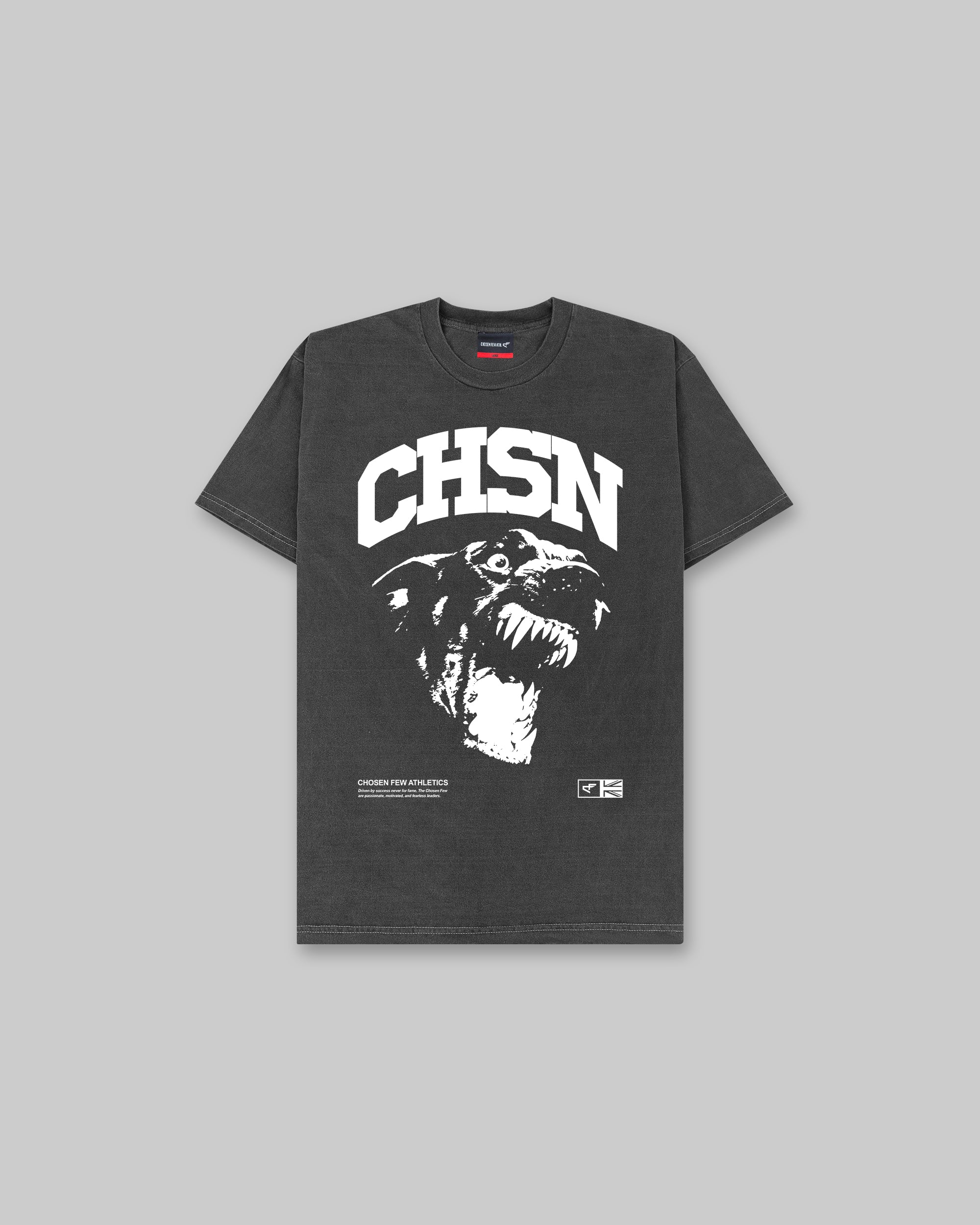 Fearless Vintage Tee - Black & White