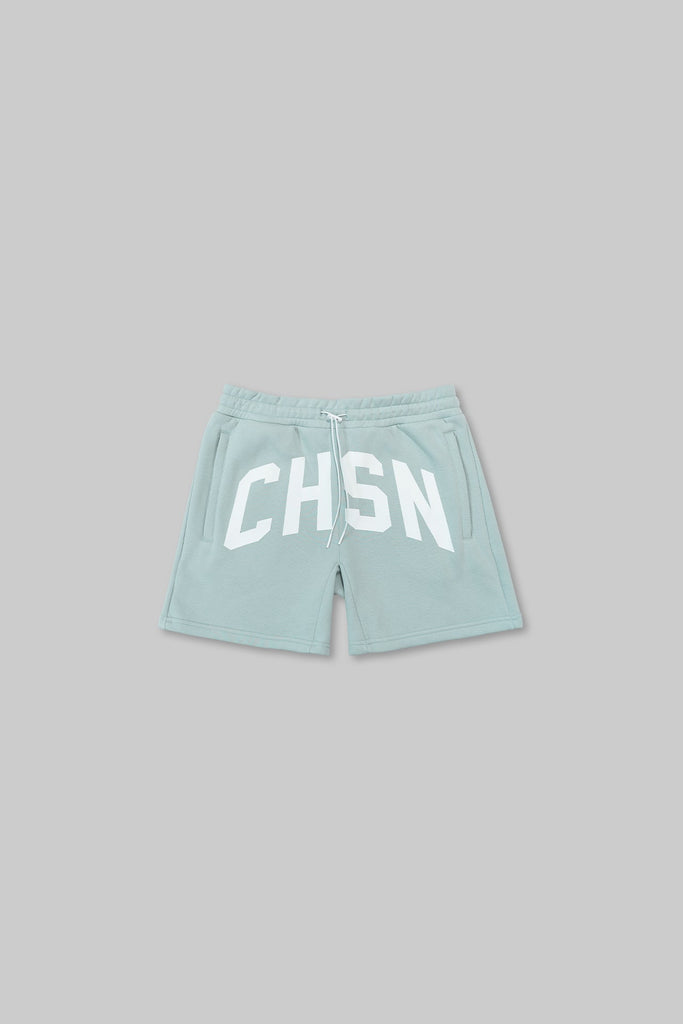 Champion reverse sales weave shorts teal