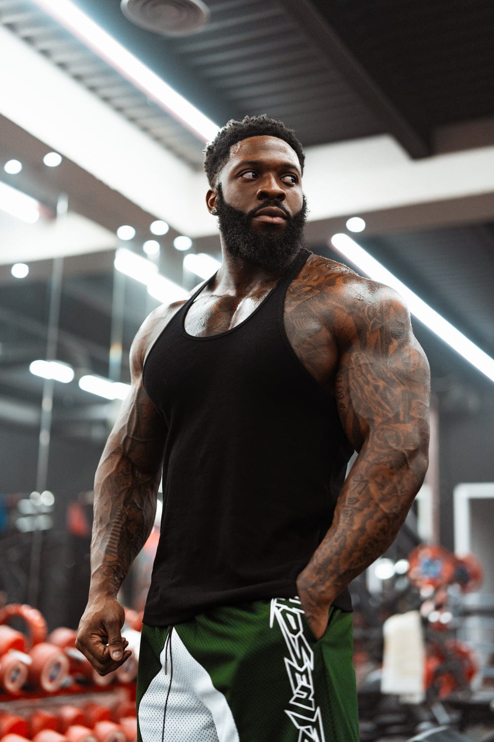 The Vest Stack - 3 for 2